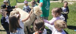 IMG_20240513_115559.jpg